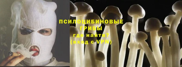 spice Горняк