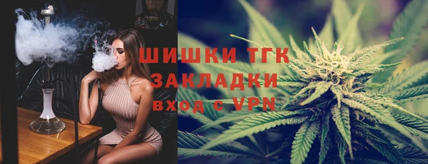 spice Горняк