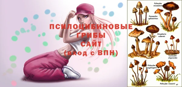 spice Горняк